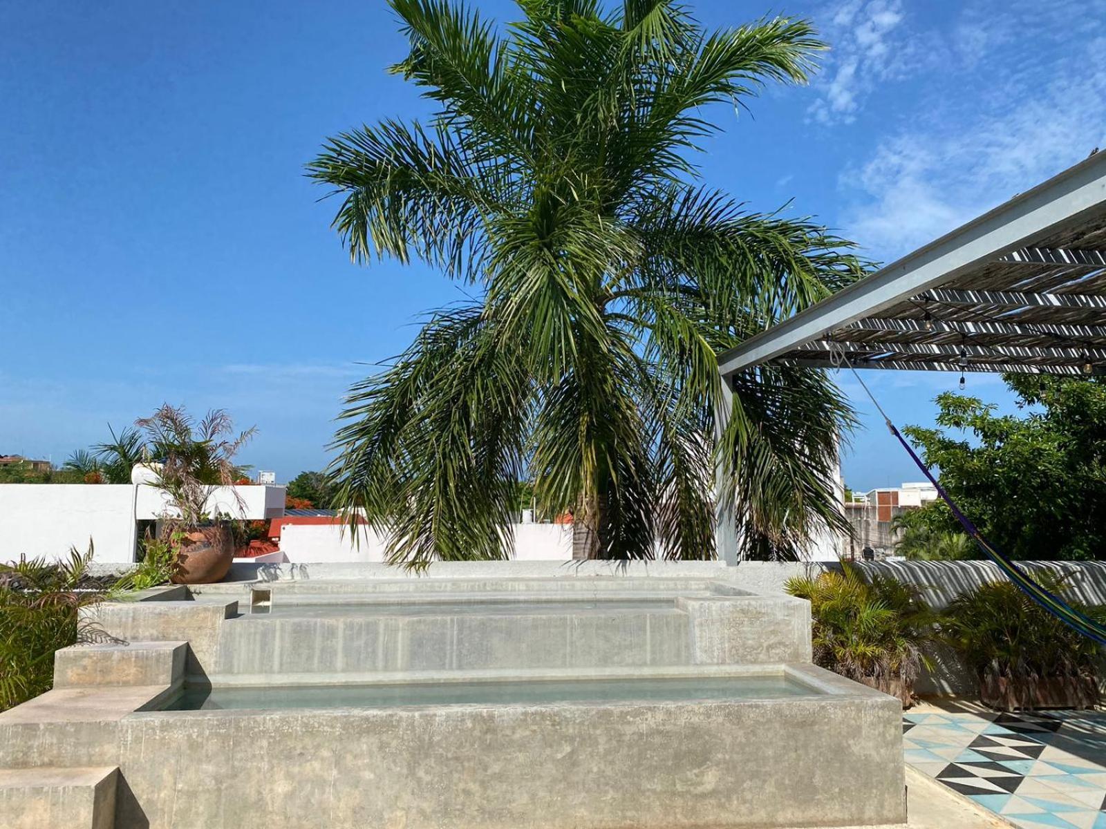 Studios Downtown Cancún Eksteriør bilde